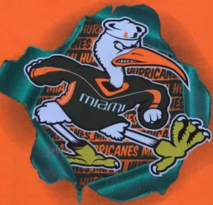 Miami Hurricanes Sebastion T Shirt Mens Small Orange Short Sleeve NCAA - Picture 1 of 7