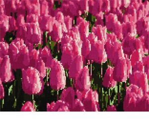 Tulips Needlepoint Kit or Canvas (Floral/Flower/Nature)