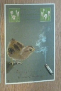 AK Baby Huhn mit Zigarettenbrand Tuck Art Kezar Falls Stempel 1907 - Bild 1 von 2