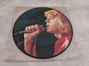 Leif Garrett – Feel The Need 7" PICTURE DISC SINGLE 1979 EXCELLENT K11274 - Imagen 1 de 1