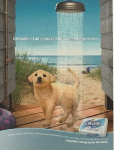 Cottonelle Moist Wipes Yellow Labrador Retriever 2003 Picture Print Ad Clip art - Picture 1 of 4