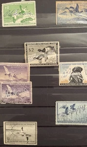 Federal Duck Stamps & Hunting Permit Licenses Lot of 5 - Picture 1 of 5