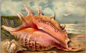 Myrtle Point, Oregon Shell Border Postkarte (1910) Souvenir aus... - Bild 1 von 3