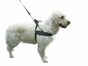 Arnés para perros Miami Plus 60-100 circunferencia abdominal negro arnés para perro pecho D3 - Imagen 1 de 1