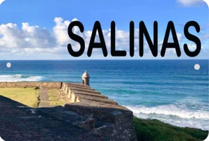 Puerto Rico SALINAS Municipio 8" x 12" Aluminum Metal Sign PR El Morro - Picture 1 of 2
