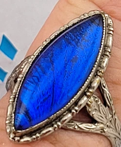 Antiguo Anillo Ala Mariposa Morpho Azul Talla 7 Hecho en Inglaterra Aluminio - Imagen 1 de 7