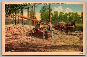 Postcard c1940s An Old Fashioned Sugar Cane Mill Down South Horse Buggy Linen - Picture 1 of 2