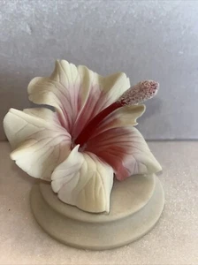 BELLISSIMO FIORE DI IBISCO CARINIA INTAGLIATO A MANO ISOLA VERGINE BRITANNICA - Foto 1 di 15