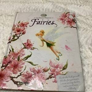 Disney “THE HIDDEN WORLD OF FAIRIES” Adorable Wendy’s Journal  Book - Bild 1 von 6