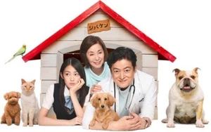 DVD IS THERE A VET IN THE HOUSE Eps 1-12END English Subtitle All Region FREESHIP - Bild 1 von 5