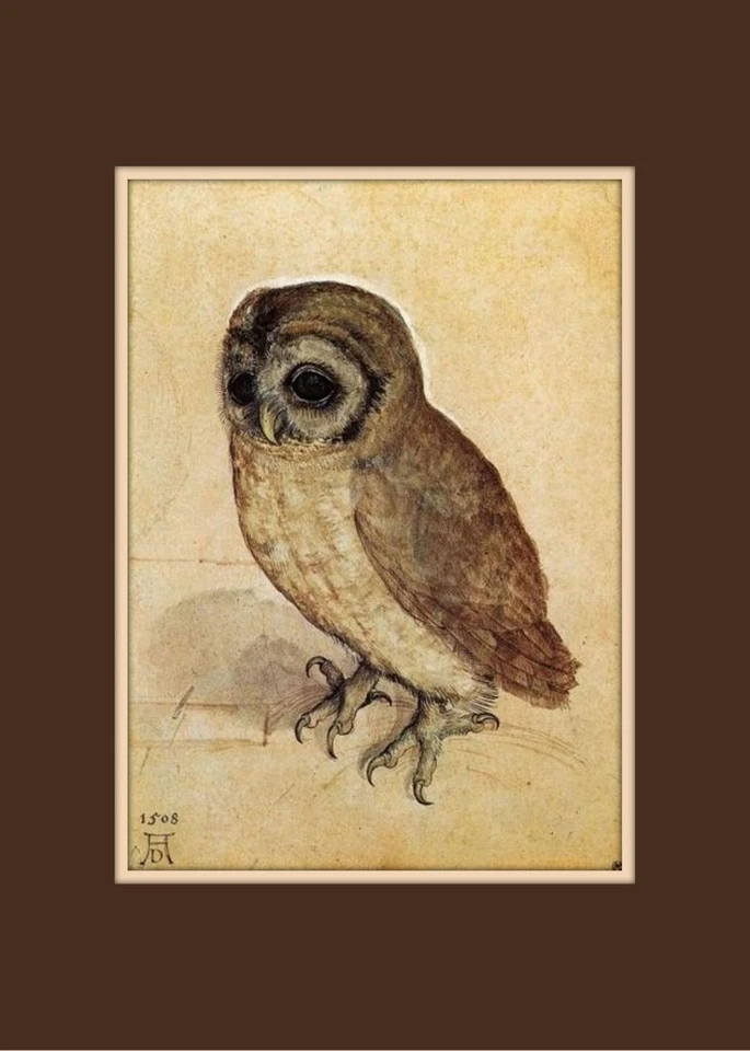 Búhos, póster de arte de pared, estampado de animales, 8x10", otros tamaños disponibles, impresión de giclee Foto 1 de 1