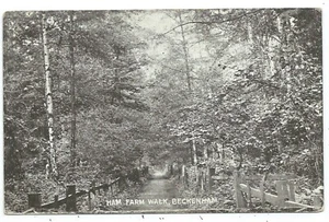 KENT - HAM FARM WALK, BECKENHAM 1904 Postcard - Picture 1 of 1