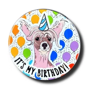 Chinese Crested Dog Rainbow Birthday Balloon Pinback Button Handmade Gift 2.25 - Picture 1 of 3