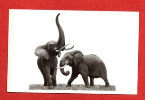 1940s CHICAGO NATURAL HISTORY MUSEUM postcard AFRICAN ELEPHANTS wild animal zoo - Picture 1 of 3