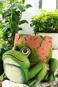 Outdoor Animal Garden Planter Cement Frog-Shaped with Flower Pot Decoration - Picture 1 of 16