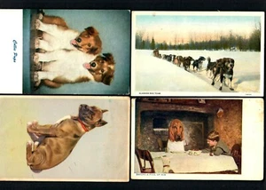 #731 Dogs Boxer A. Manizer, Collie Pups, Alaskan Dog Team, Making A fool of Him - Picture 1 of 3