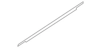 Genuine Ford 2018-2022 EcoSport SES Door Belt Molding Front Left N1Z-7421453-E - Image 1 of 2