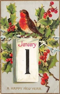Postkarte: Frohes Neues Jahr, Robin & Holly, verschickt DB 1909, Tuck's (Bäcker) - Bild 1 von 2