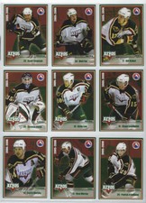 2005-06 Houston Aeros (AHL) nearly complete team set (21 of 24 cards)
