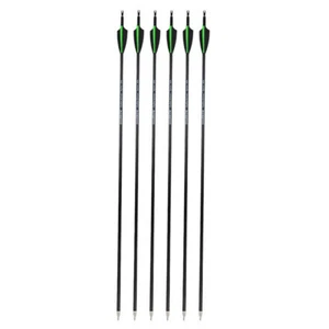 30" Archery Carbon Arrows SP500 Tips Targrt Point 100 grain Broadheads Hunting - Picture 1 of 17