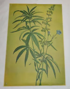 Sehr seltene 1967 Gegenkultur Persönlichkeit Poster "Gras" 42x28 Marihuana Poster - Bild 1 von 23