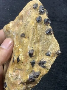 Almandine Garnet Cluster in Golden Mica Mineral Specimen. - Picture 1 of 11