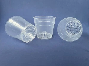 10 macetas para orquídeas, maceta transparente, 10,5 cm, maceta para orquídeas, Phalaenopsis - Imagen 1 de 1