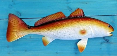 Redfish Pintado a Mano 28" Réplica Montaje en Pared Escultura Juego Pesca Agua Salada  Foto 1 de 4