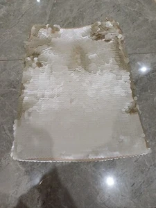 M&S Sequin Knee-Length Column Skirt Size 14 PETITE NEUTRAL - Picture 1 of 9