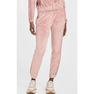 Guess Factory Janess Logo Roasted Chestnut Pink Velour Jogger Pants Women Sz XL - Picture 1 of 16