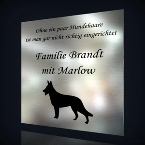EDELSTAHL TÜRSCHILD NAMENSSCHILD MIT LASERGRAVUR: KATZENMOTIV & TEXT NACH WUNSCH - Bild 1 von 3
