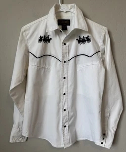 Vtg Buffalo Country S Shirt Mens Western Cowboy Horse Embroidered Pearl Snap - Picture 1 of 8