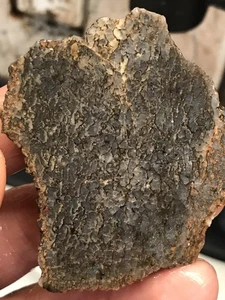 Nice Gembone Dinosaur Bone Slab 26 Grams - Picture 1 of 5