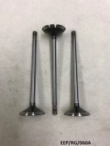 3 x Intake Valve for Chrysler Grand Voyager 3.3L & 3.8L 2001-2010 EEP/RG/060A - Picture 1 of 4