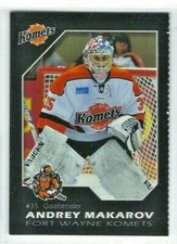 2013-14 Fort Wayne Komets (ECHL) Andrey Makarov (goalie)