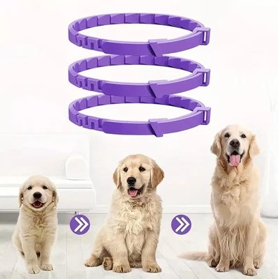 Calming Collar Adjustable Pets Anti Anxiety for Cats Dogs Stress Reduction AUS - image 1 of 4