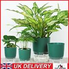 Auto Absorbing Flower Pot Self Watering Planter Hydroponic Potted (L Green)