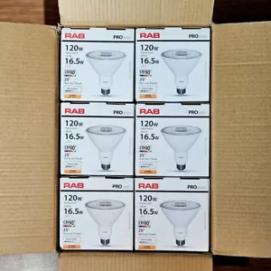 RAB 16W 2700K (Soft White) LED Dimmable Bulbs, 25° Beam Angle (Case of 6) - Picture 1 of 5