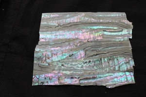 Mexikanisches Abalone dünnstes Perlmutt Blatt (B) - Bild 1 von 1