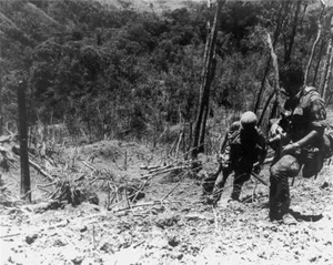 GUERRA DE VIETNAM BRILLANTE PÓSTER IMAGEN FOTO IMPRESIÓN BANNER selva 8312 - Imagen 1 de 1