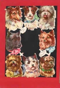 SCRAPS VINTAGE RAPAHAEL TUCK DOGS inkl. SCOTTISH TERRIER COLLIE MOPS + - Bild 1 von 1