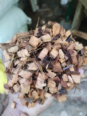 Coconut Husk Chips For Orchids Anthurium Growing Dry Organic Coconut Fiber coir - Image 1 of 4