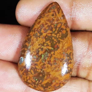 (22X36X4 MM) 28.35 Carat. NATURAL DINOSAUR CORAL PEAR CABOCHON LOOSE GEMSTONE - Picture 1 of 6