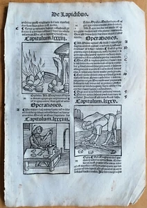 Original Post Inkunabel-Blatt Hortus Sanitatis Mineralien (A) Venedig 1511 - Bild 1 von 2