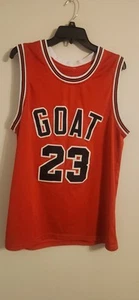 JORDAN GOAT JERSEY #23 - Picture 1 of 3