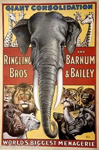 Póster vintage de Ringling Bros 1971 elefante de circo gatos osos sellos hipopótamo rinoceronte - Imagen 1 de 1