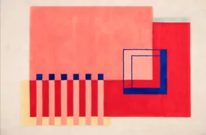Pink and Red Un-Shaped Modern Handmade Tufted Area Rugs. - Picture 1 of 4