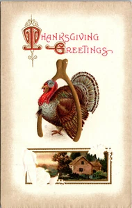 Vintage 1910er Erntedankgrüße Türkei Querlenker Bauernhaus geprägte Postkarte - Bild 1 von 2