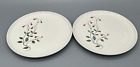 TWO Franciscan Family China WINSOME 8 3/8" Salad Plates Pink Flower Blue Leaves
