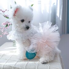 Koronka dla psa sukienka tutu z plisowaną kołnierzem sukienka dla zwierząt domowych ubrania wiosenne stroje dla psów